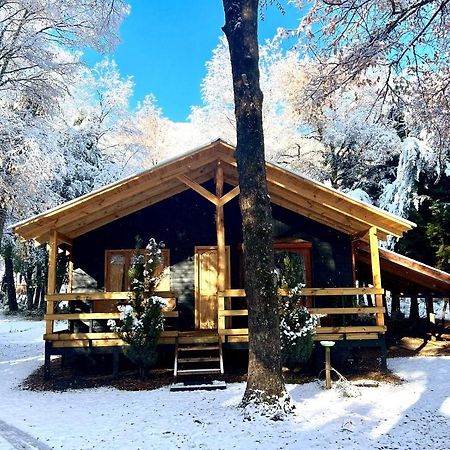 Cabanas Bosque Las Trancas Esterno foto